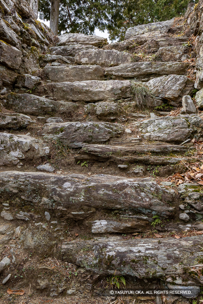 本丸虎口・石階