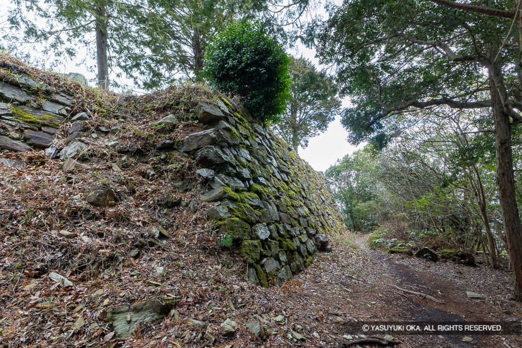 本丸南面石垣（横矢）