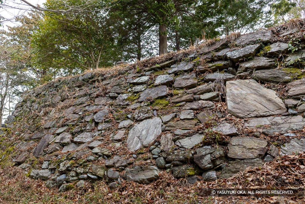 本丸南面石垣