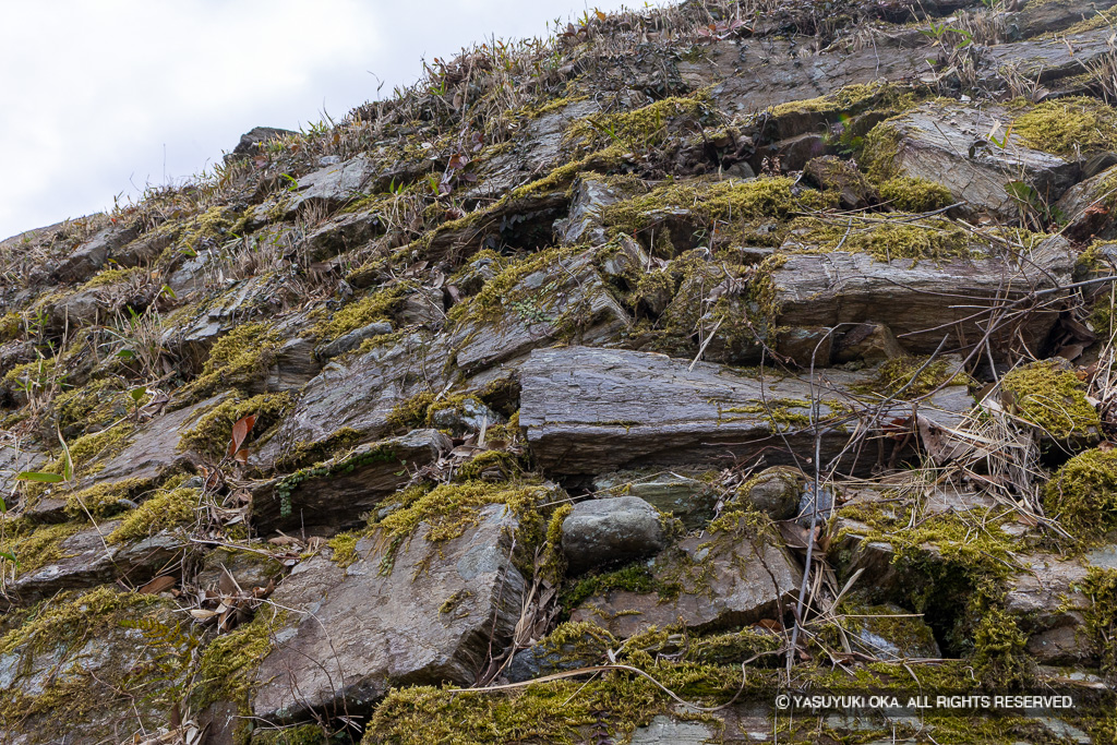 本丸北面石垣・シノギ積み