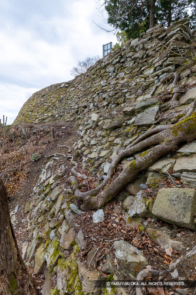 本丸四段石垣（北面）