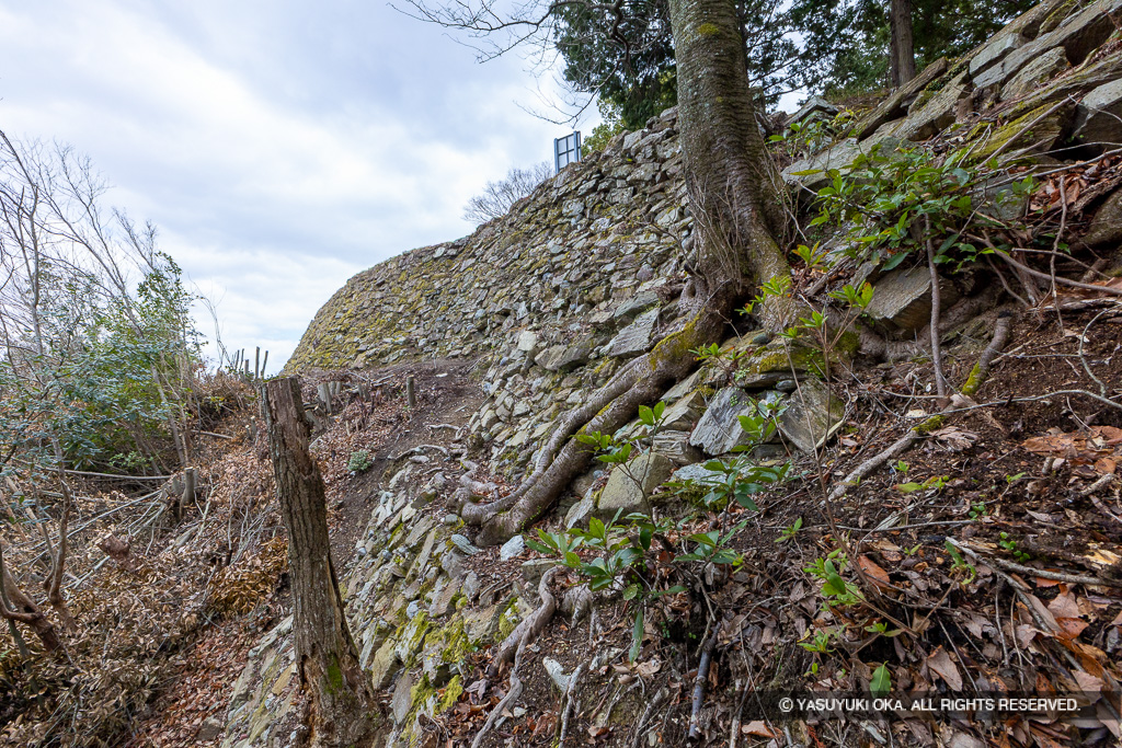本丸四段石垣（北面）