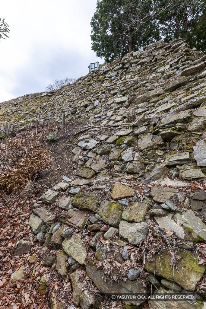 本丸四段石垣（北面）