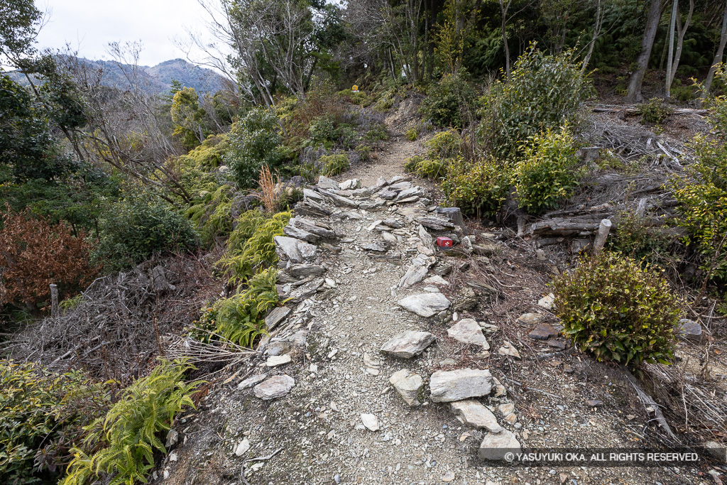 小倉丸に至る道・土塁の土留めか