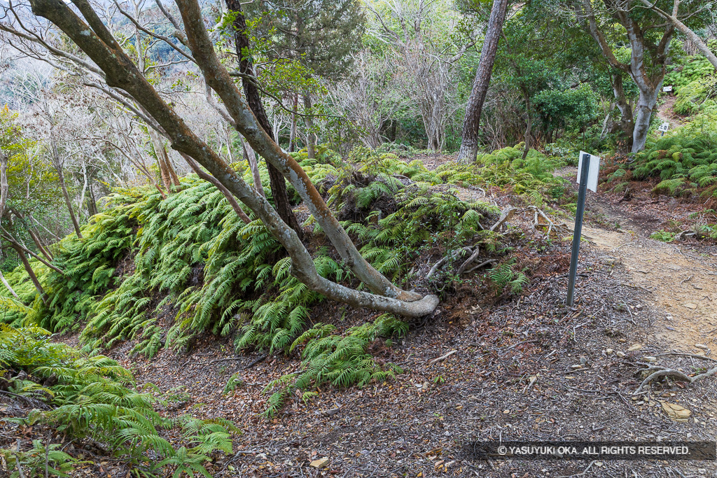小倉丸南側の堀切