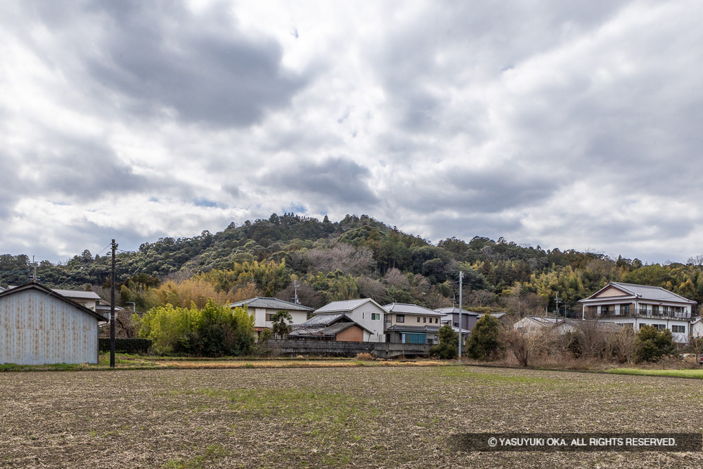 一宮城遠景・「御殿居」から