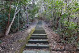 登山道 | 高解像度画像サイズ：8192 x 5464 pixels | 写真番号：6F1A3677 | 撮影：Canon EOS R5m2