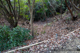 竪堀 | 高解像度画像サイズ：8192 x 5464 pixels | 写真番号：6F1A3679 | 撮影：Canon EOS R5m2