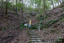 切岸・湧水 | 高解像度画像サイズ：8192 x 5464 pixels | 写真番号：6F1A3693 | 撮影：Canon EOS R5m2