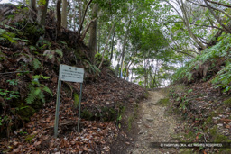 堀切 | 高解像度画像サイズ：8192 x 5464 pixels | 写真番号：6F1A3696 | 撮影：Canon EOS R5m2