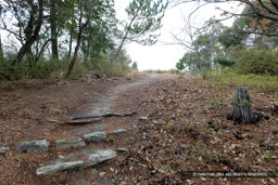 明神丸 | 高解像度画像サイズ：8192 x 5464 pixels | 写真番号：6F1A3715 | 撮影：Canon EOS R5m2