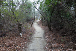 帯曲輪 | 高解像度画像サイズ：8192 x 5464 pixels | 写真番号：6F1A3725 | 撮影：Canon EOS R5m2