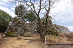 本丸石垣・井戸跡 | 高解像度画像サイズ：7691 x 5130 pixels | 写真番号：6F1A3727 | 撮影：Canon EOS R5m2