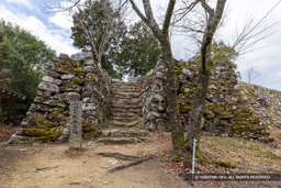  | 高解像度画像サイズ：7909 x 5275 pixels | 写真番号：6F1A3732 | 撮影：Canon EOS R5m2