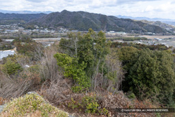 本丸より北を望む | 高解像度画像サイズ：8192 x 5464 pixels | 写真番号：6F1A3756 | 撮影：Canon EOS R5m2