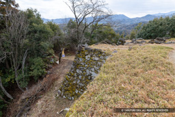 本丸の横矢 | 高解像度画像サイズ：8192 x 5464 pixels | 写真番号：6F1A3761 | 撮影：Canon EOS R5m2