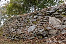 本丸南面石垣 | 高解像度画像サイズ：8192 x 5464 pixels | 写真番号：6F1A3781 | 撮影：Canon EOS R5m2