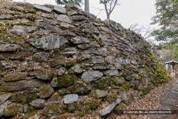 本丸南面石垣・シノギ積み | 高解像度画像サイズ：8192 x 5464 pixels | 写真番号：6F1A3783 | 撮影：Canon EOS R5m2