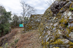 本丸北面石垣・横矢 | 高解像度画像サイズ：8192 x 5464 pixels | 写真番号：6F1A3795 | 撮影：Canon EOS R5m2