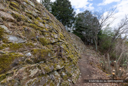 本丸北面石垣・シノギ積み | 高解像度画像サイズ：8192 x 5464 pixels | 写真番号：6F1A3801 | 撮影：Canon EOS R5m2