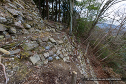 本丸四段石垣（北面） | 高解像度画像サイズ：8192 x 5464 pixels | 写真番号：6F1A3813 | 撮影：Canon EOS R5m2