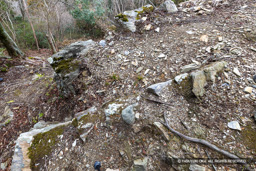 本丸北面石垣・造築跡 | 高解像度画像サイズ：7587 x 5061 pixels | 写真番号：6F1A3838 | 撮影：Canon EOS R5m2