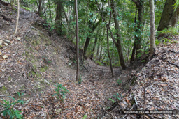 本丸南尾根の堀切 | 高解像度画像サイズ：8192 x 5464 pixels | 写真番号：6F1A3859 | 撮影：Canon EOS R5m2