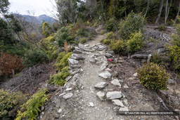 小倉丸に至る道・土塁の土留めか | 高解像度画像サイズ：8192 x 5464 pixels | 写真番号：6F1A3871 | 撮影：Canon EOS R5m2