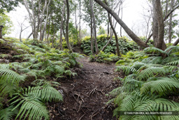 小倉丸虎口 | 高解像度画像サイズ：8192 x 5464 pixels | 写真番号：6F1A3877 | 撮影：Canon EOS R5m2