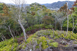 小倉丸堀切と水ノ手丸跡 | 高解像度画像サイズ：8192 x 5464 pixels | 写真番号：6F1A3898 | 撮影：Canon EOS R5m2