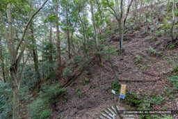 切岸・湧水 | 高解像度画像サイズ：8192 x 5464 pixels | 写真番号：6F1A3916 | 撮影：Canon EOS R5m2