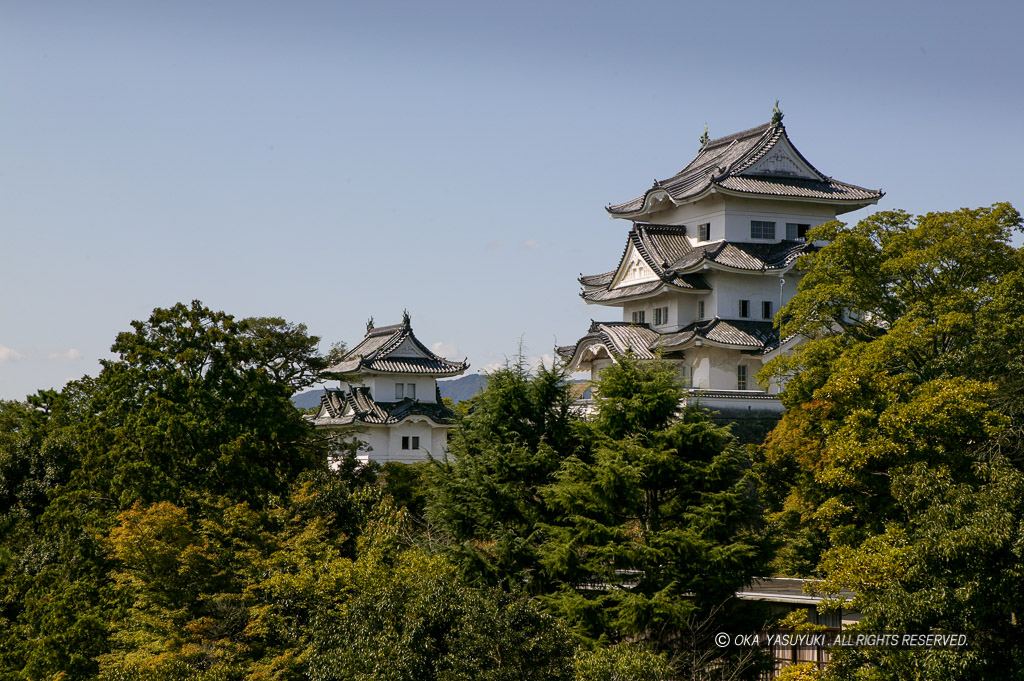 伊賀上野城の遠景