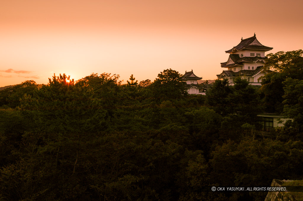 伊賀上野城の夕景