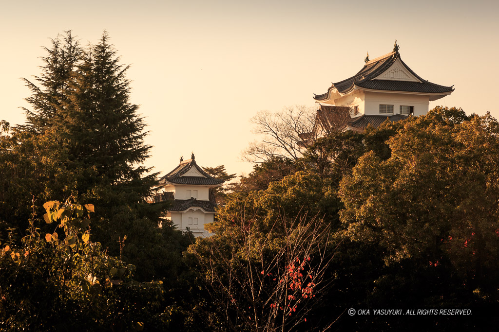 伊賀上野城の夕景