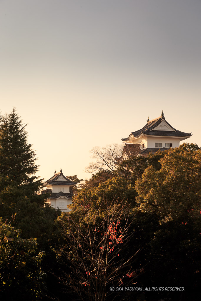 伊賀上野城の夕景