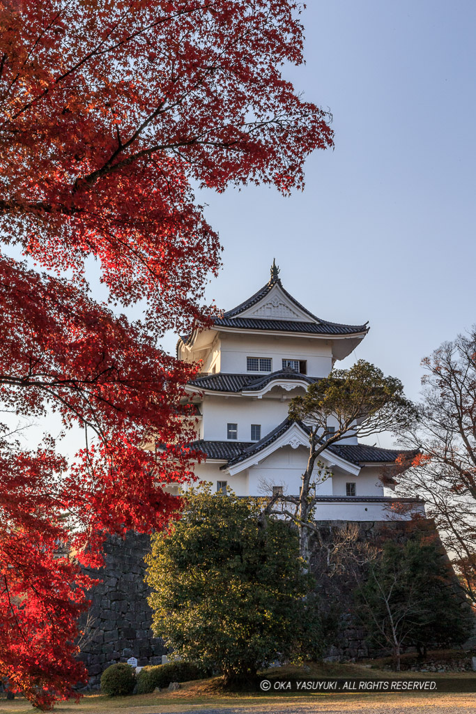 伊賀上野城天守と紅葉