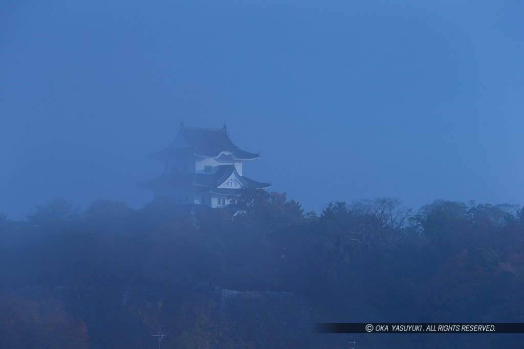 朝霧と伊賀上野城