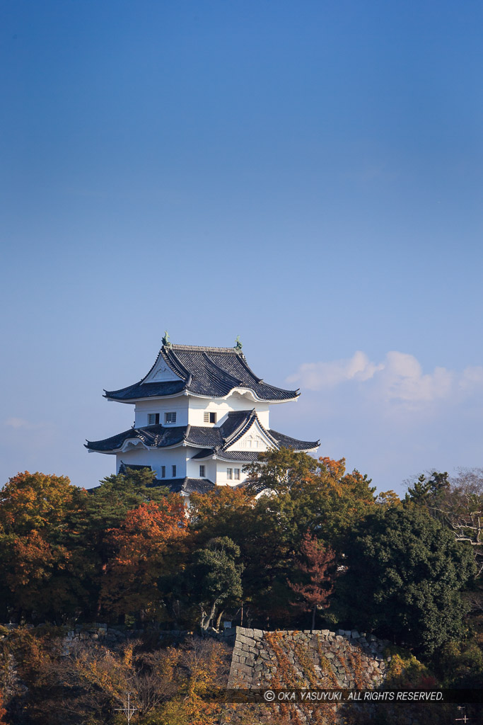伊賀上野城の遠景
