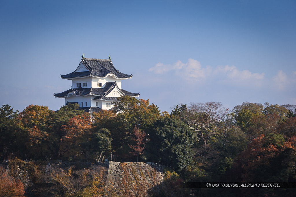 伊賀上野城の遠景