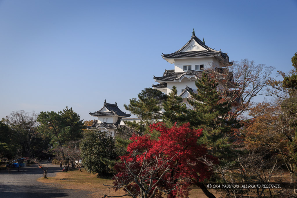 伊賀上野城の紅葉