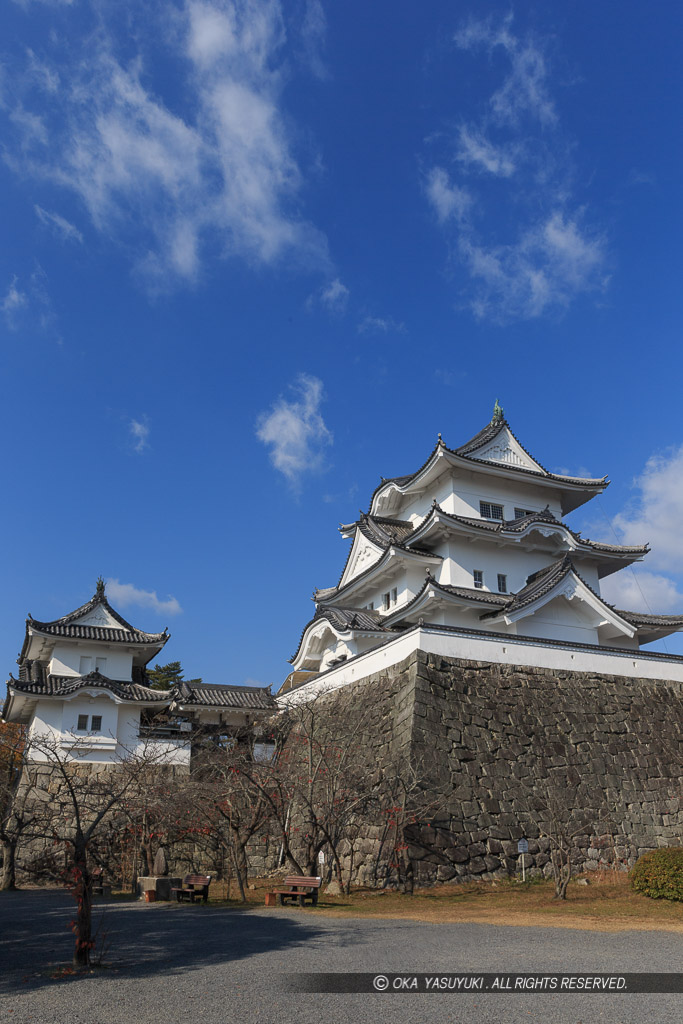 伊賀上野城大天守と小天守