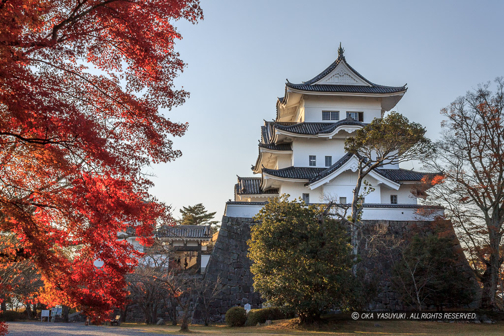 伊賀上野城天守と紅葉