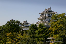 伊賀上野城の遠景｜高解像度画像サイズ：4064 x 2704 pixels｜写真番号：100-7169S53B｜撮影：Canon EOS-1DS