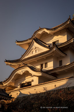 伊賀上野城天守の夕景｜高解像度画像サイズ：3456 x 5184 pixels｜写真番号：1DX_6312｜撮影：Canon EOS-1D X