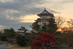 伊賀上野城の残照｜高解像度画像サイズ：5184 x 3456 pixels｜写真番号：1DX_6475｜撮影：Canon EOS-1D X