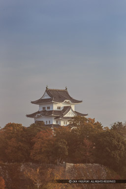 朝霧と伊賀上野城｜高解像度画像サイズ：3405 x 5108 pixels｜写真番号：1DX_6623｜撮影：Canon EOS-1D X