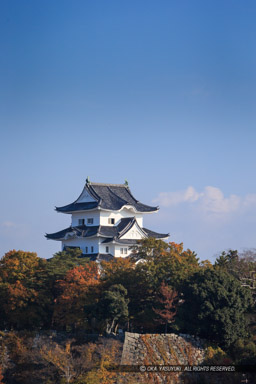 伊賀上野城の遠景｜高解像度画像サイズ：3456 x 5184 pixels｜写真番号：1DX_6660｜撮影：Canon EOS-1D X