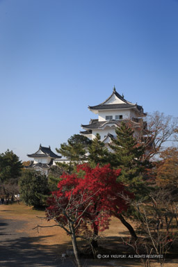 伊賀上野城の紅葉｜高解像度画像サイズ：3456 x 5184 pixels｜写真番号：1DX_6679｜撮影：Canon EOS-1D X