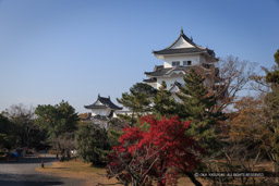 伊賀上野城の紅葉｜高解像度画像サイズ：5184 x 3456 pixels｜写真番号：1DX_6684-Edit｜撮影：Canon EOS-1D X