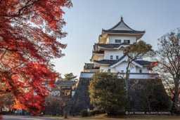 伊賀上野城天守と紅葉｜高解像度画像サイズ：4153 x 2769 pixels｜写真番号：IMG_2820｜撮影：Canon EOS Kiss X50